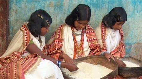 NHRC seeks ATR on Dongria Kondh tribals’ condition