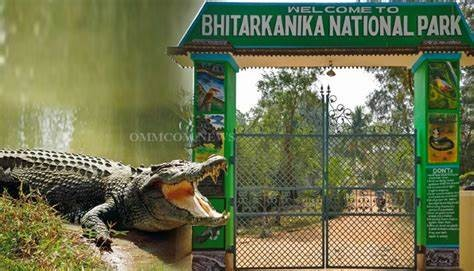 Bhitarkanika Closed Until July to Prevent Crocodile Attacks