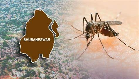Dengue prevention in Bhubaneswar