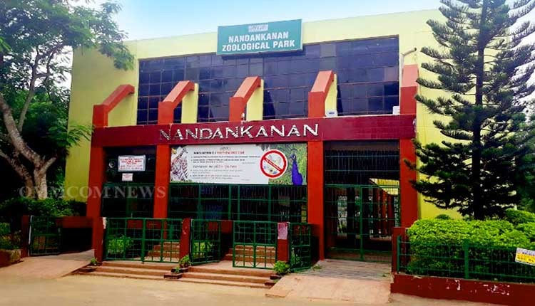 Raja Festival Nandankanan closure