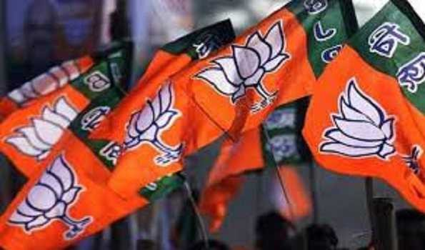 BJP poll supervisors 2025