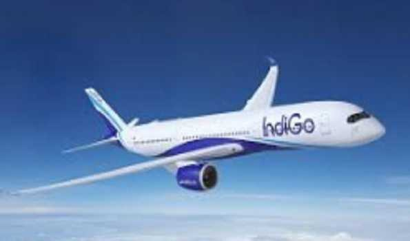 IndiGo Delhi-Goa plane makes emergency landing in Mumbai